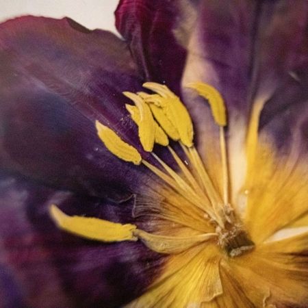 Brautstrauß als Kunstwerk