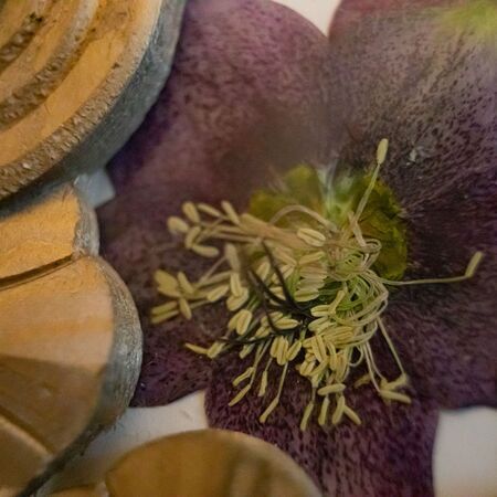 Brautstrauß in Bilderrahmen